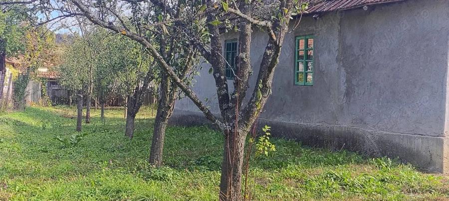 Casa de vanzare in ilovat, mehedinti - 6