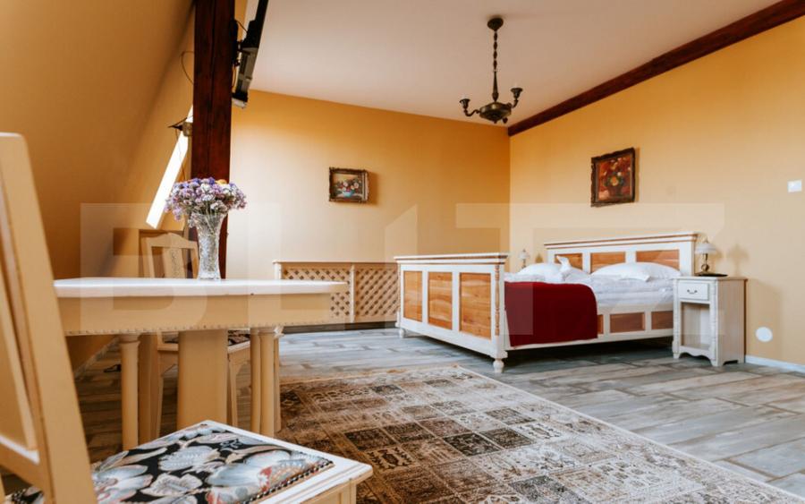 Conac de vanzare 7 camere cu bai proprii, crama, ciubar ? - 3