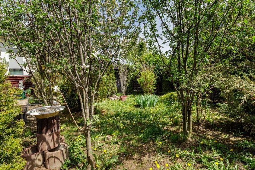 Vila spatioasa si eleganta, aproape de padure – Tunari, Ilfov - 13