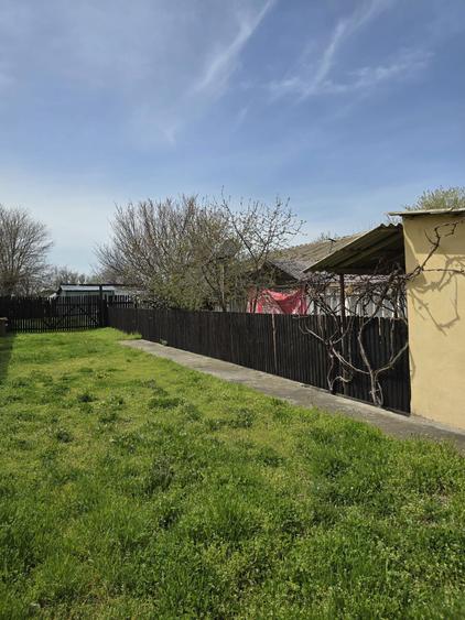 Vand casa cu teren in comuna Baneasa judetul Giurgiu - 6