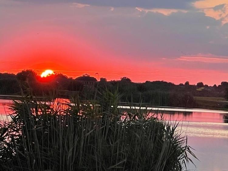 Snagov 2022- Vila la lac piscina si ponton, teren 2050mp - 9