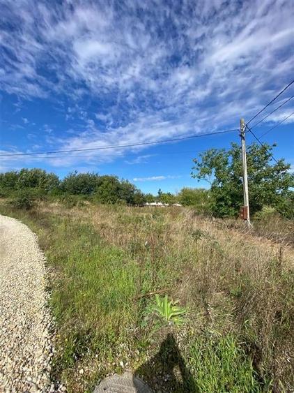 RECO Teren intravilan Paleu 647mp cu Utilitati inclusiv Gaz - 1