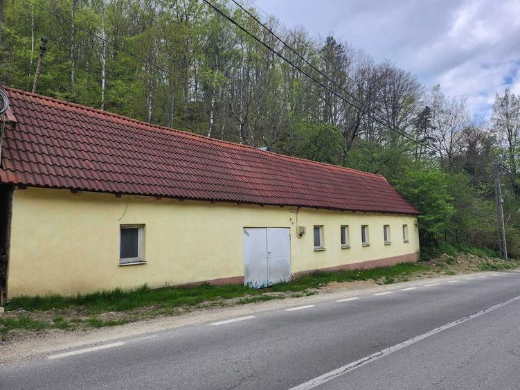 Casa de vanzare in Valiug! Zona cu potential turistic si de afaceri! - 1