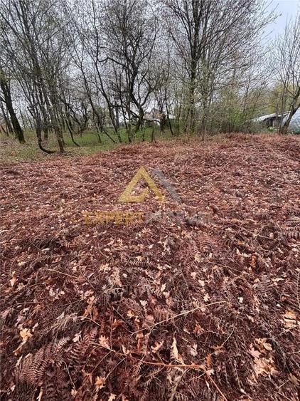 Teren intravilan in spate la Castel Transilvania 1.000mp - 9