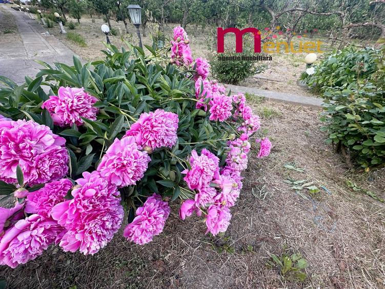 Terenn 2800 mp+ Casa  , oaza de liniste si relaxare - 7