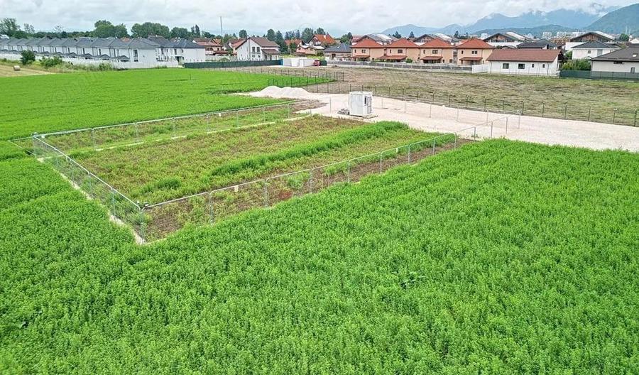 Teren Industrial - 17