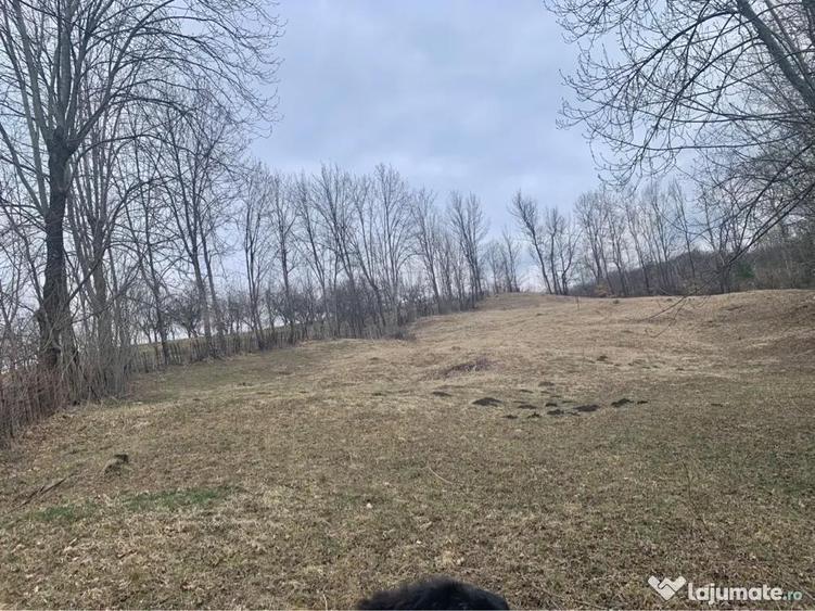 Teren intravilan com. Talea 3169mp - 1