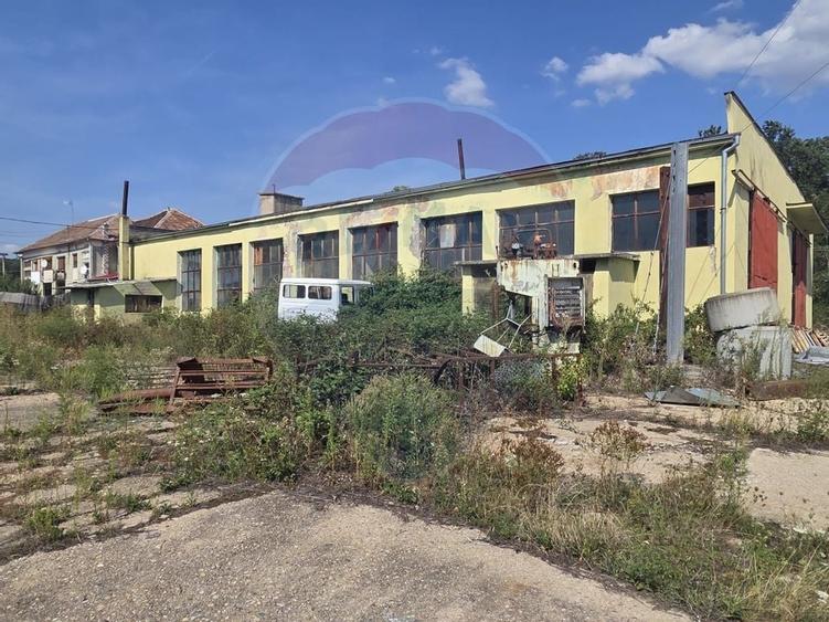 Spațiu industrial 15435 mp. de vânzare in Tinca. - 10