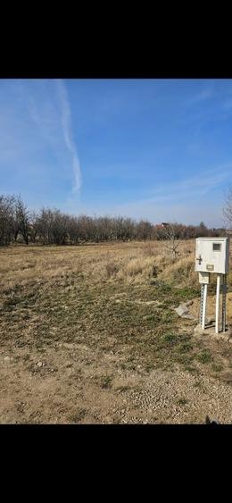 Teren Ghermanesti-Ciofliceni, in com. Snagov, strada Stefanita Voda. Negociabil - 5