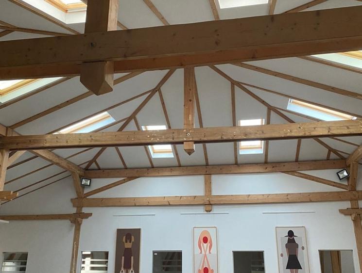 Mansarda Open space Universitate , 235 mp, lift, 2 locuri parcare - 5