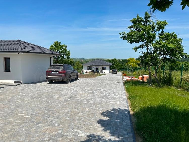 Proprietate 7680 mp Str Izvorului la liziera  Padurii - 1