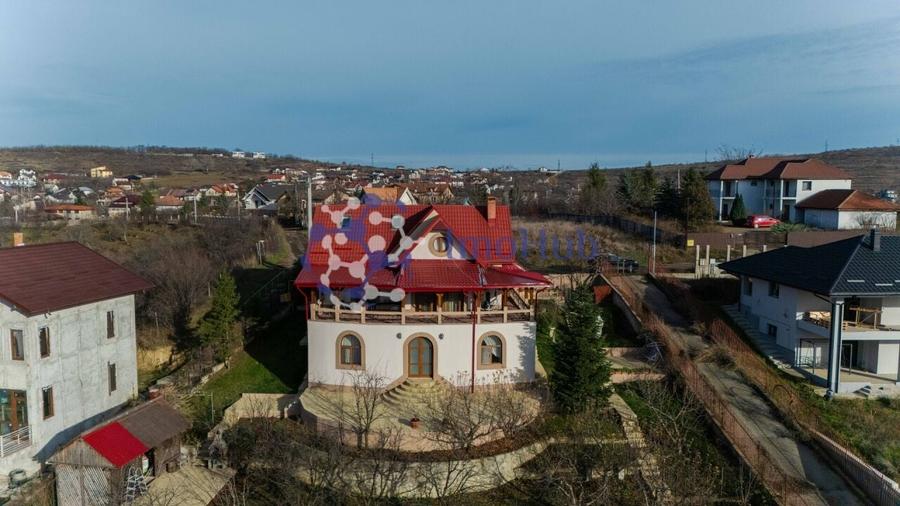 Villa Zona Bucium-Plopii Fara Sot ( pretabila si comercial) POTENTIAL RIDICAT - 4