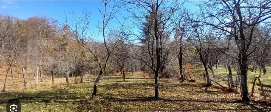 Oportunitate de investi?ie agricola Teren extravilan d - 1