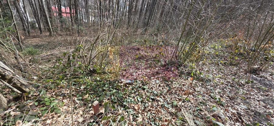 Tere intravilan de vanzare in Sinaia - 2