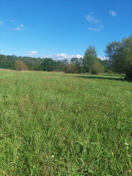 TEREN INTRAVILAN\699 mp, 45€ mp\ CARANSEBEȘ\ ZONA TEIUȘ - 6