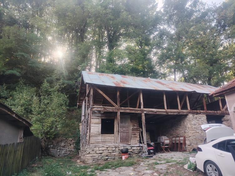 Casa  + Teren 4000 mp Urseiu - Dâmbovița 0% COMISION - 12