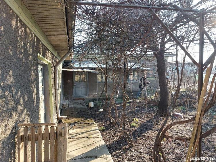 Casa Fierbinti, + anexe, + teren; la 40 km de Bucuresti - 6