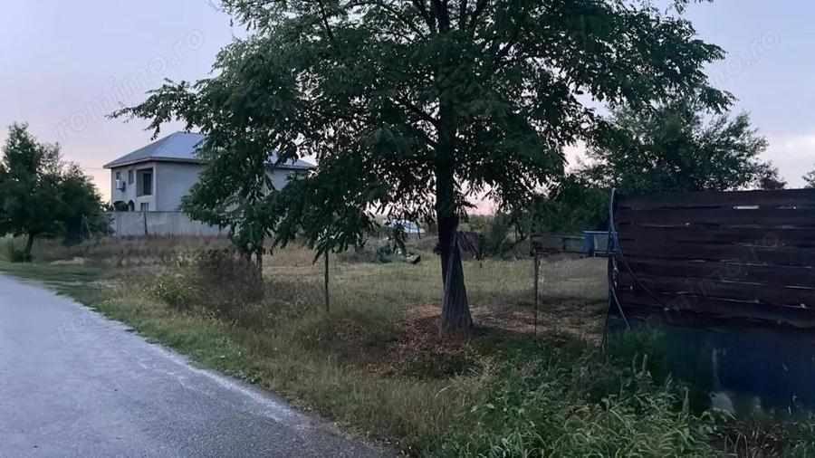 Teren parcelabil, toate utilitatile, Samurcasi, Buftea - 7