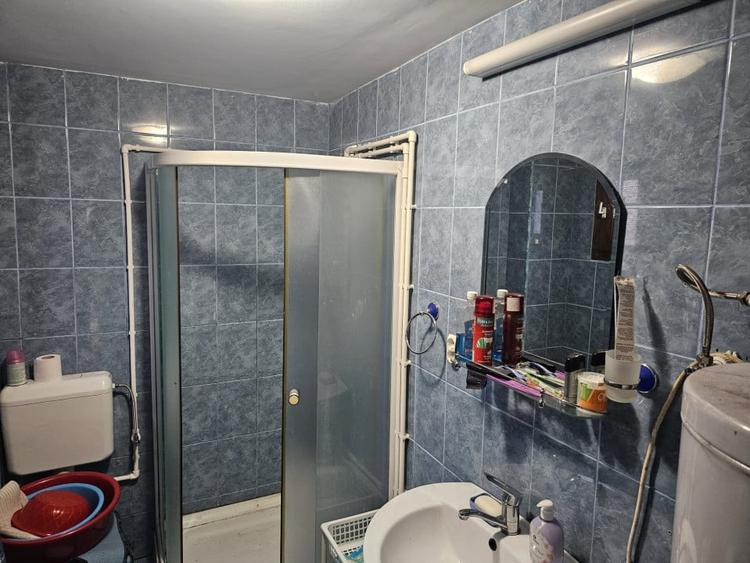 Casa cu 4 camere, suprafata 110 mp + teren 2.200 mp, Varzarii de Jos - 7