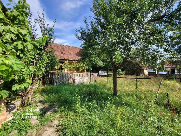 Casa cu teren de 1807 mp, Oras Lipova - 9