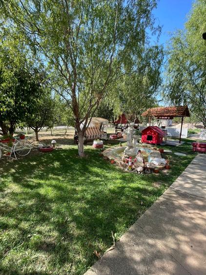 Refugiul Tău Verde: Casă Spațioasă cu Livadă, Anexe și Panouri Solare - 3