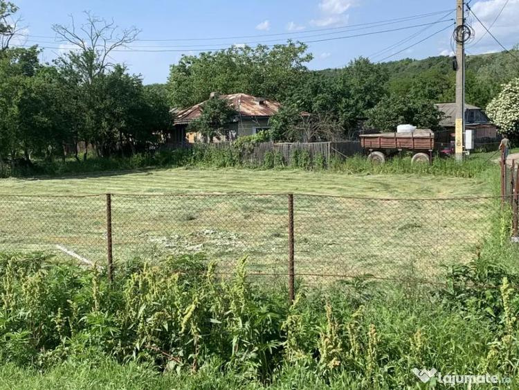 Casa + teren 2600 mp- Com. Negri- scop reziden?ial sau ind - 8