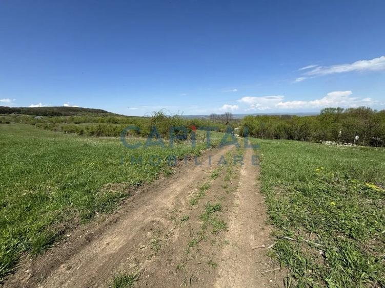 Teren intravilan 2200mp, Front 16m, sat. Padureni, Chinteni - 4