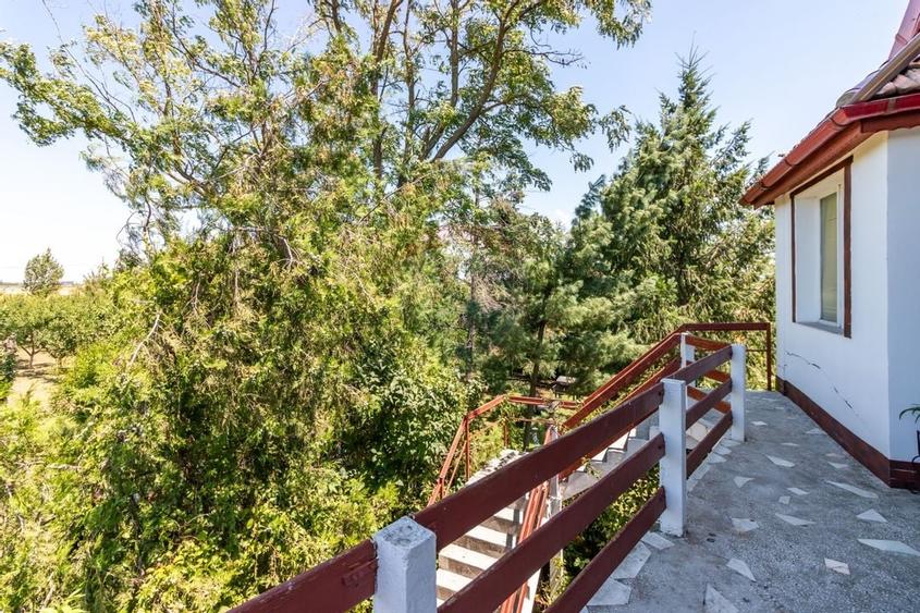 Casa+Laborator+ Teren 12.700 mp + casa de vacanta - Bolintin Vale - 42