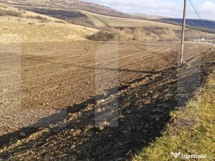 Teren intravilan 12.656 mp cu deschidere mare la drum op - 2