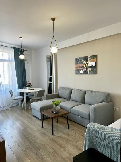 Garsoniera de inchriat, Proprietar - 2