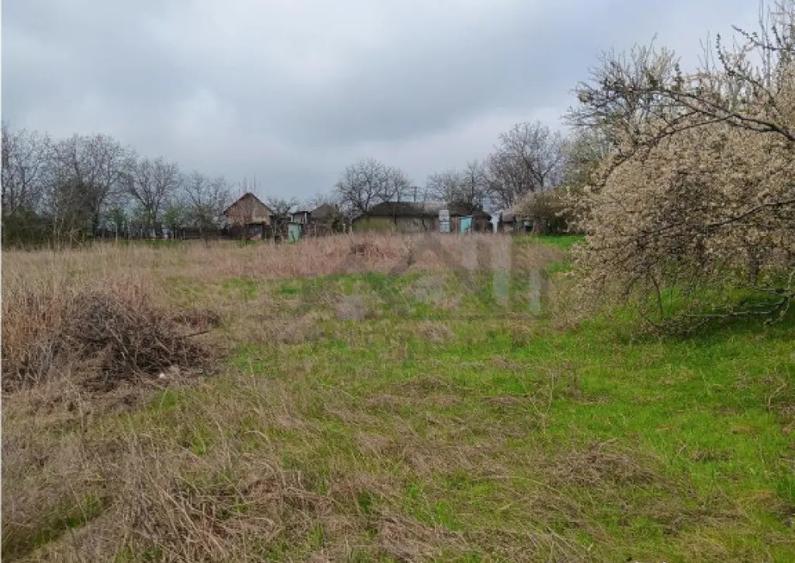 Aroneanu - Dorobant TEREN 46000mp PUZ realizat 59 de case la - 4