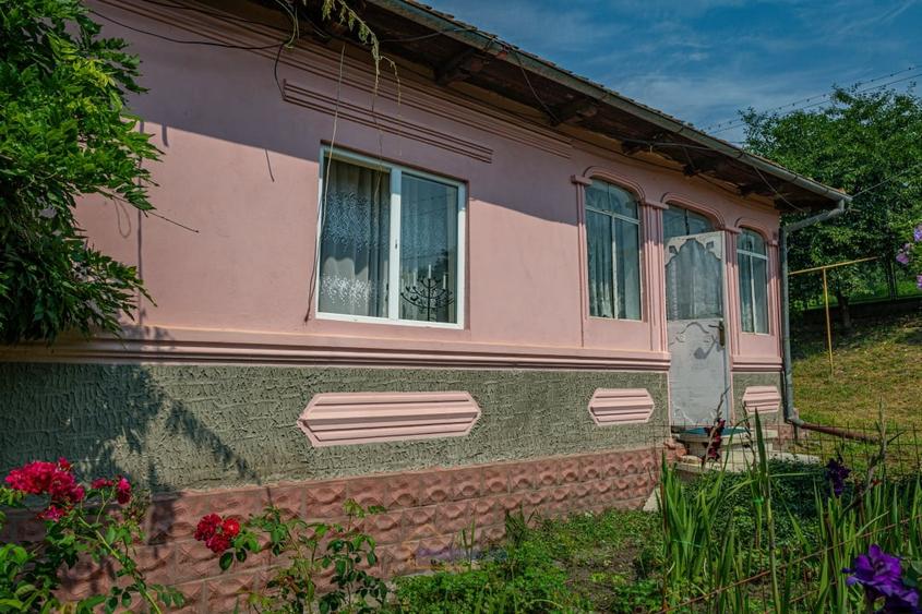 O casa, un teren, mai multe optiuni - Comanesti, Str. Moldovei - 3