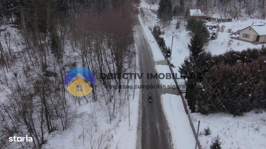 Teren 2283 mp Tarcau - 9