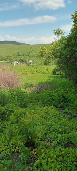 Teren intravilan Targu Neamt- str. baile Oglinzi - 3