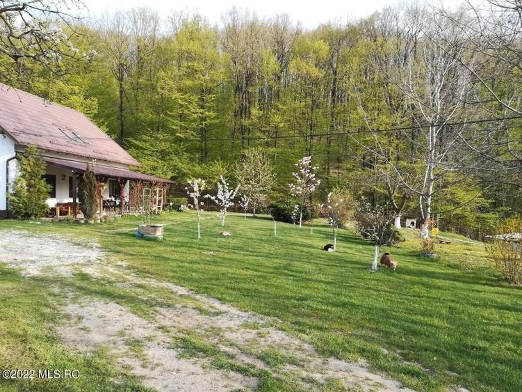 Topoloveni - Conacul Ion Mihalache, Domeniu pe 5 Hectare! - 5