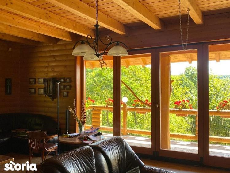Domeniu exclusivist 17.000 mp | Vila luxury cu piscina & SPA Carbu - 4