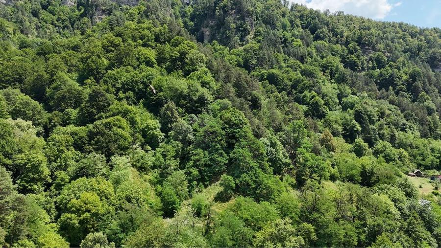 Teren intravilan Brezoi - 1