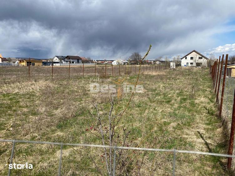 Teren de vanzare Dumbrava Rosie 20.000 Euro 900mp - 10