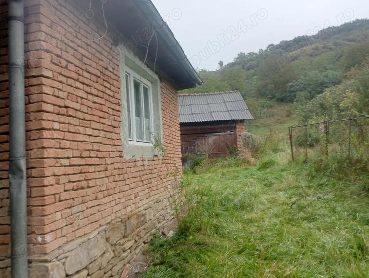 Se vinde proprietate cu gradina in sat ?entea comuna Chiochi? - 2