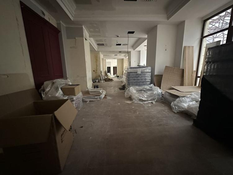 Calea Victoriei 500 mp open space terasa - 2