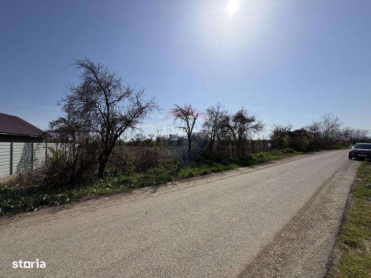 Teren 1,660mp Radulesti / Com Vanatori - 4