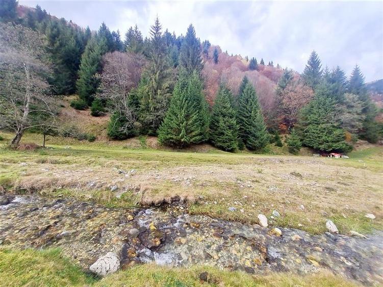 Parcela urbanizabila spectaculoasa,4.600 mp, priveliste emblematica:Piatra Craiu - 21