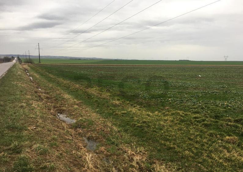 Reco Teren Intravilan in Chiribis - 3