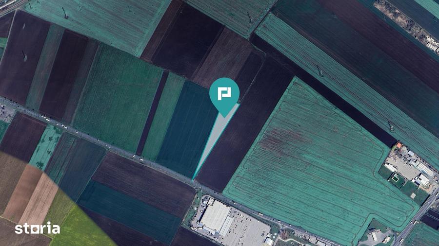 Teren 3500 mp extravilan agricol pe centura Arad - 4