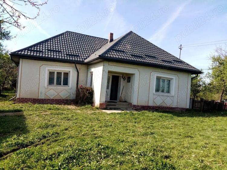 Loc. Basesti (jud. MM) casa de vanzare cu 8.000 mp teren - 3