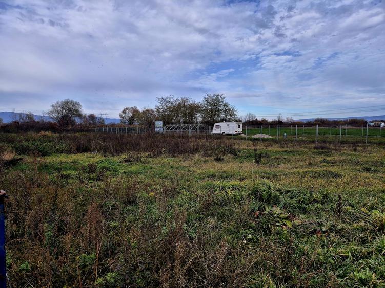 Teren constructie hala/depozit/mica insdustrie/service auto, Halchiu - 9