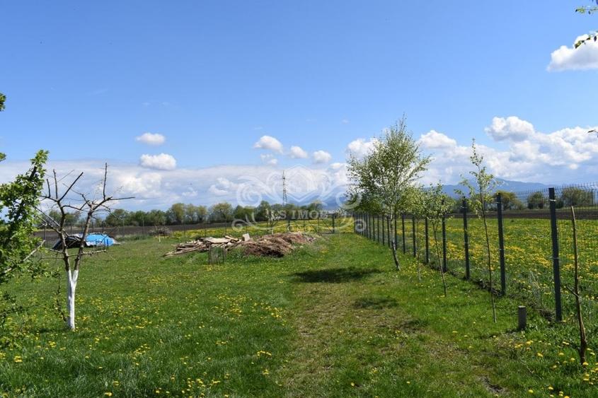 TEREN INTRAVILAN CU CONSTRUCTII AGROTURISTICE SI CABANA CODLEA - 3