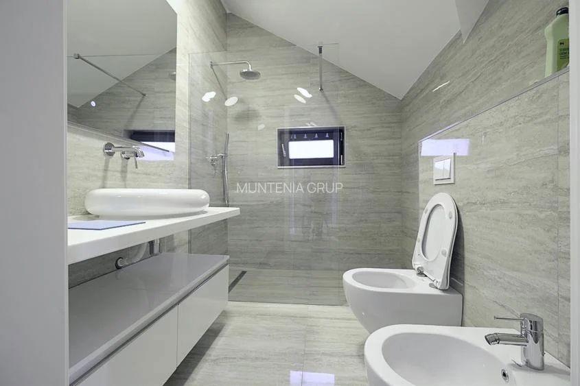 Otopeni Mega Image 23 August , str Intrarea Mesteacanului - 1