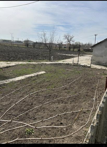 Casa de vanzare,comuna Pecineaga,Constan?a - 6
