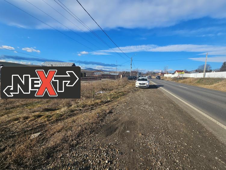 Teren Turturesti la strada principala - 4